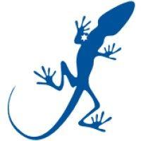 Starlizard Consulting Ltd logo